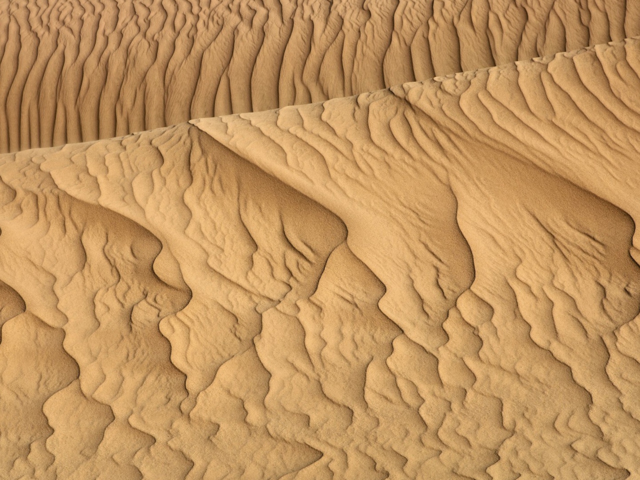 Screenshot №1 pro téma Sahara Sands 1280x960