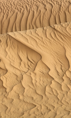 Screenshot №1 pro téma Sahara Sands 240x400
