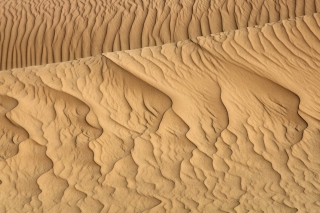 Sahara Sands - Fondos de pantalla gratis 