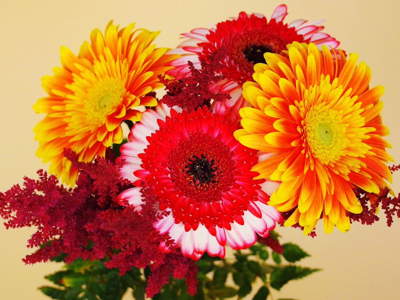 Fondo de pantalla Gerbera Wedding Bouquet 1280x960