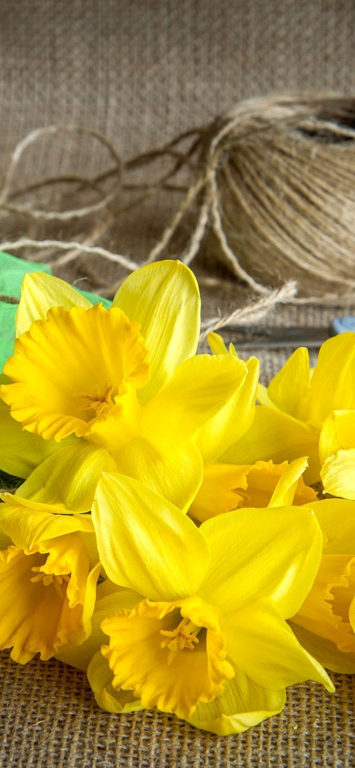 Daffodils bouquet wallpaper 1170x2532