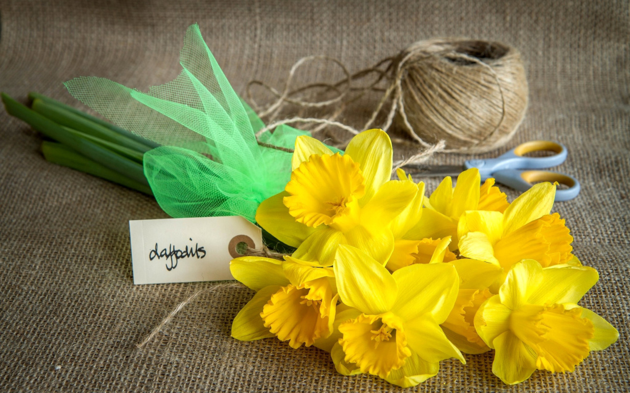 Daffodils bouquet wallpaper 1280x800