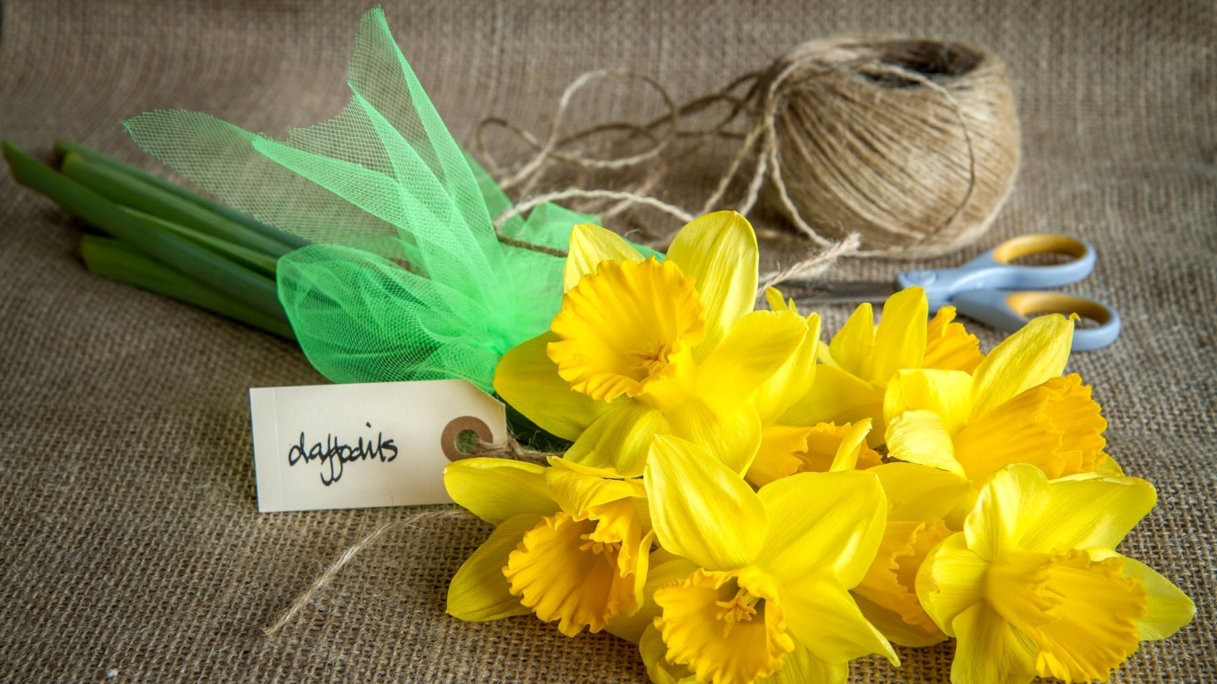 Sfondi Daffodils bouquet 1366x768