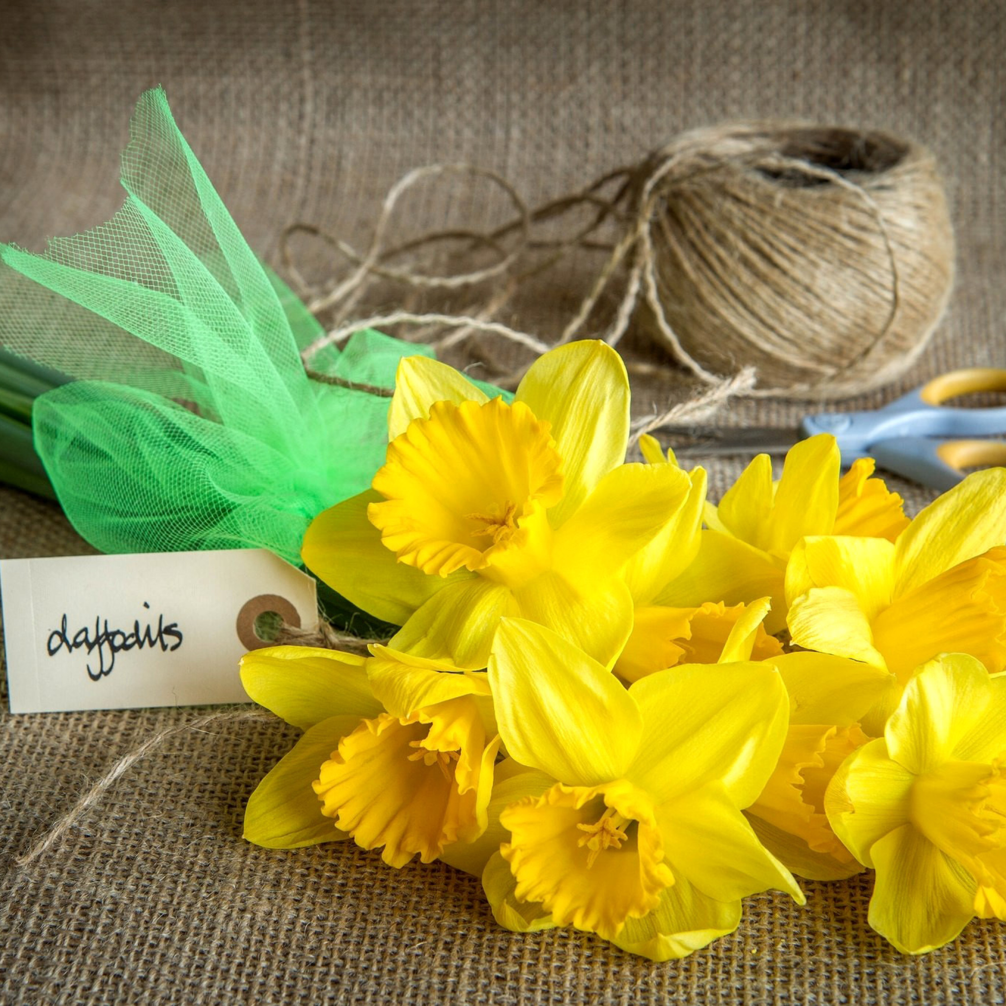 Daffodils bouquet wallpaper 2048x2048