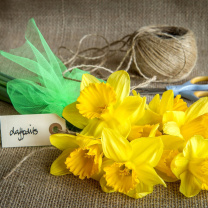 Daffodils bouquet wallpaper 208x208