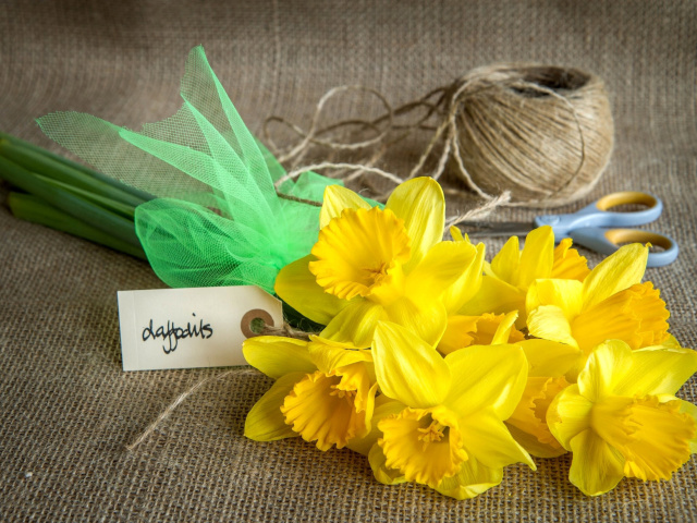 Daffodils bouquet wallpaper 640x480