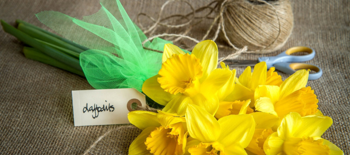 Daffodils bouquet wallpaper 720x320