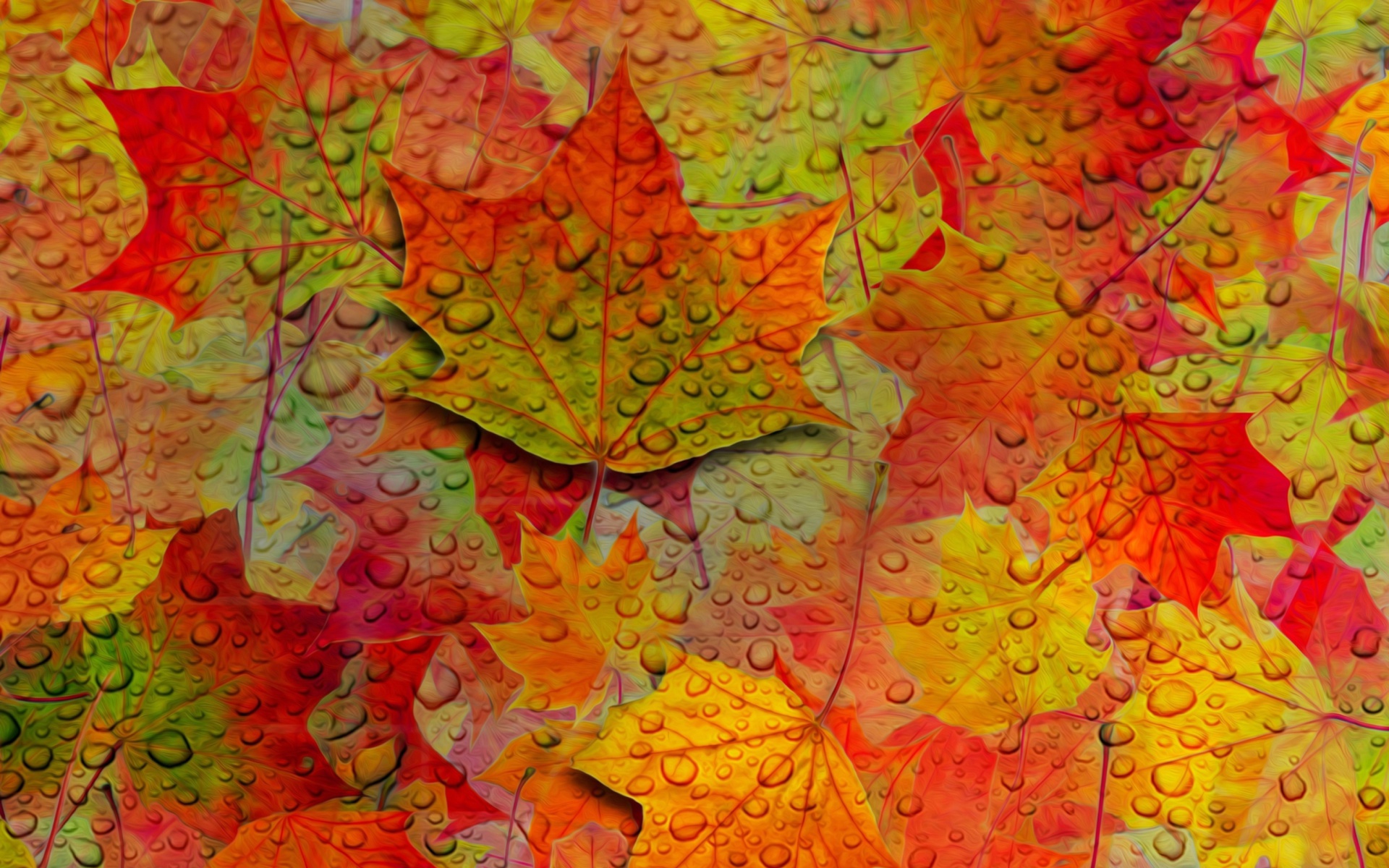 Das Abstract Fall Leaves Wallpaper 1920x1200