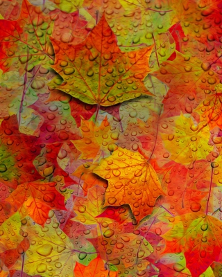Abstract Fall Leaves - Obrázkek zdarma pro Nokia Asha 309