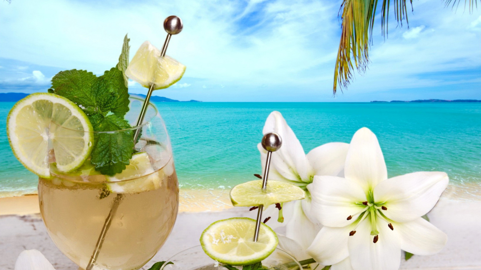 Screenshot №1 pro téma Tropical Drink 1920x1080