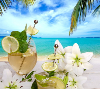 Tropical Drink - Obrázkek zdarma pro iPad