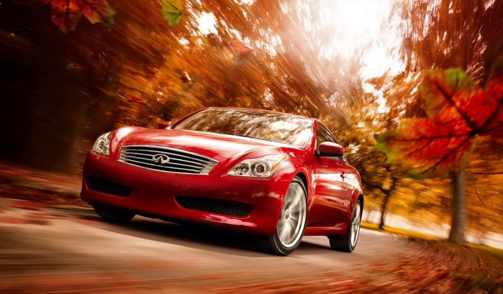 Fondo de pantalla Infiniti Autumn 1024x600