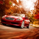 Обои Infiniti Autumn 128x128