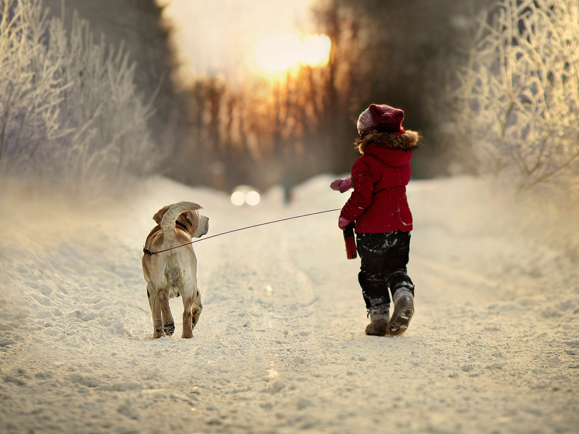 Das Winter Walking with Dog Wallpaper 1152x864