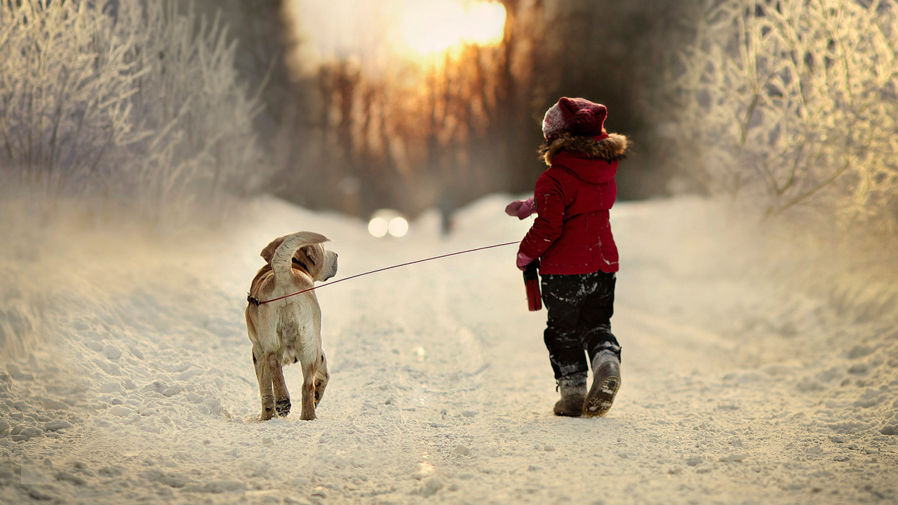 Winter Walking with Dog wallpaper 1280x720