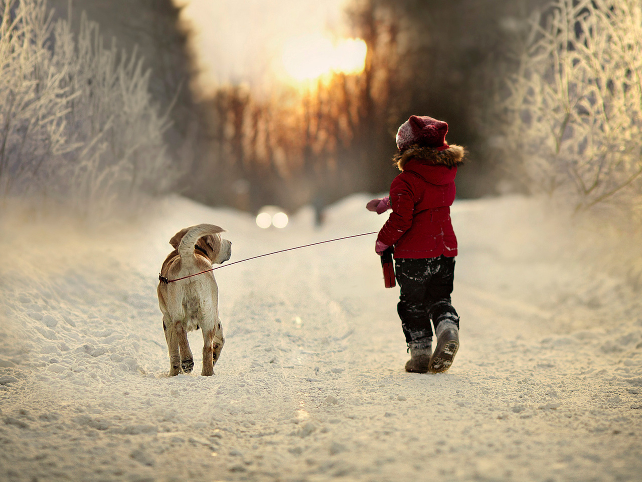 Screenshot №1 pro téma Winter Walking with Dog 1280x960