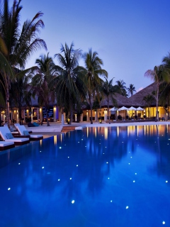 Tropical Evening On Samui screenshot #1 240x320