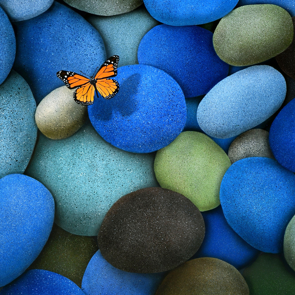 Orange Butterfly On Blue Stones wallpaper 1024x1024