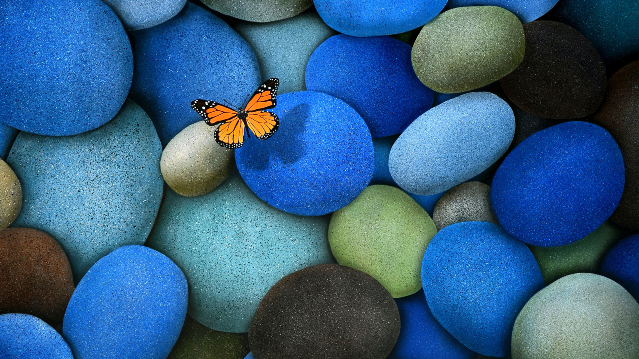 Screenshot №1 pro téma Orange Butterfly On Blue Stones 1280x720