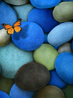 Screenshot №1 pro téma Orange Butterfly On Blue Stones 240x320