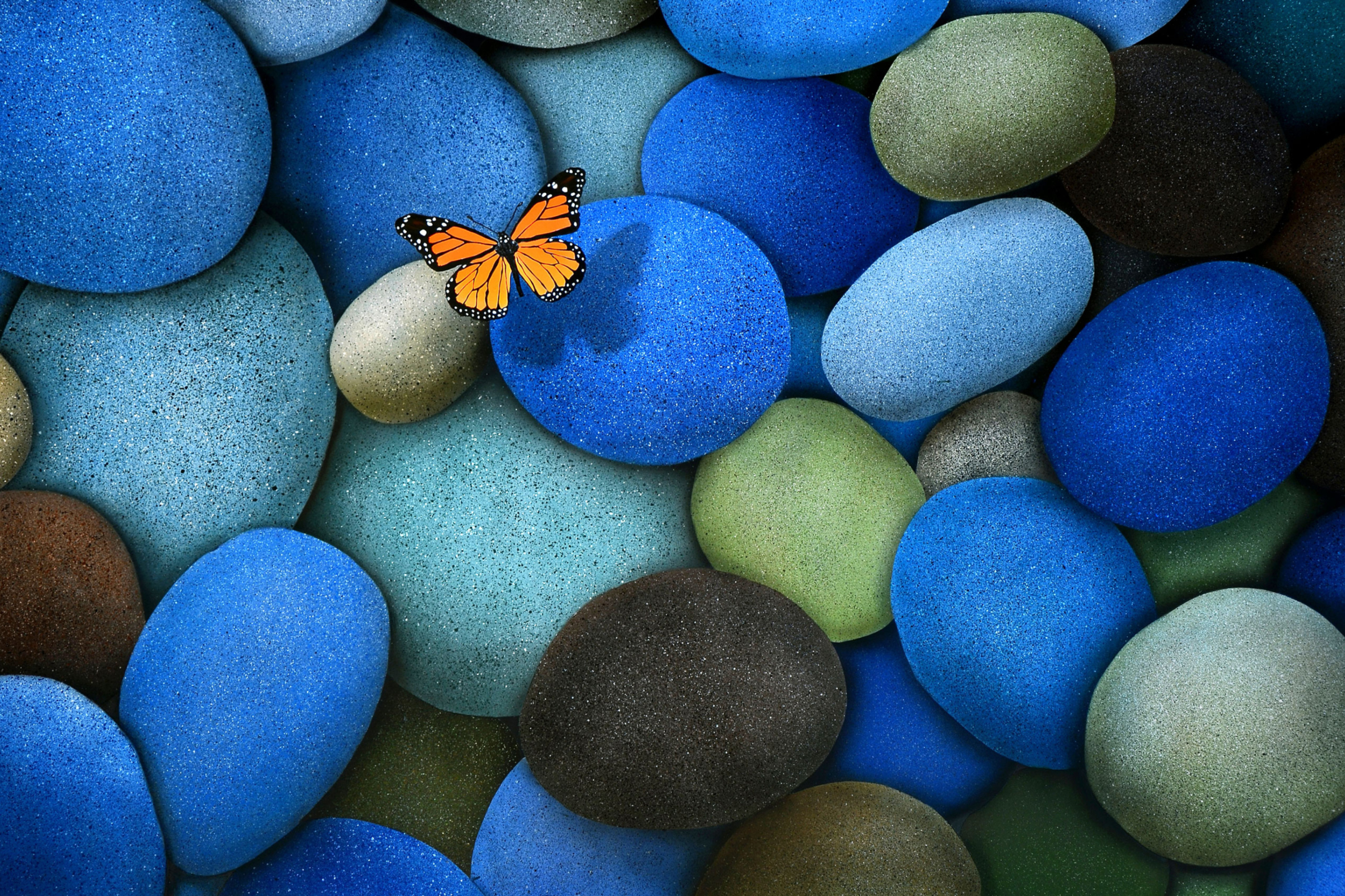 Orange Butterfly On Blue Stones wallpaper 2880x1920