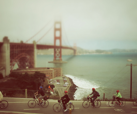 Screenshot №1 pro téma Biking In San Francisco 480x400