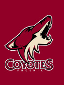 Phoenix Coyotes NHL Team wallpaper 132x176