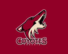 Fondo de pantalla Phoenix Coyotes NHL Team 220x176