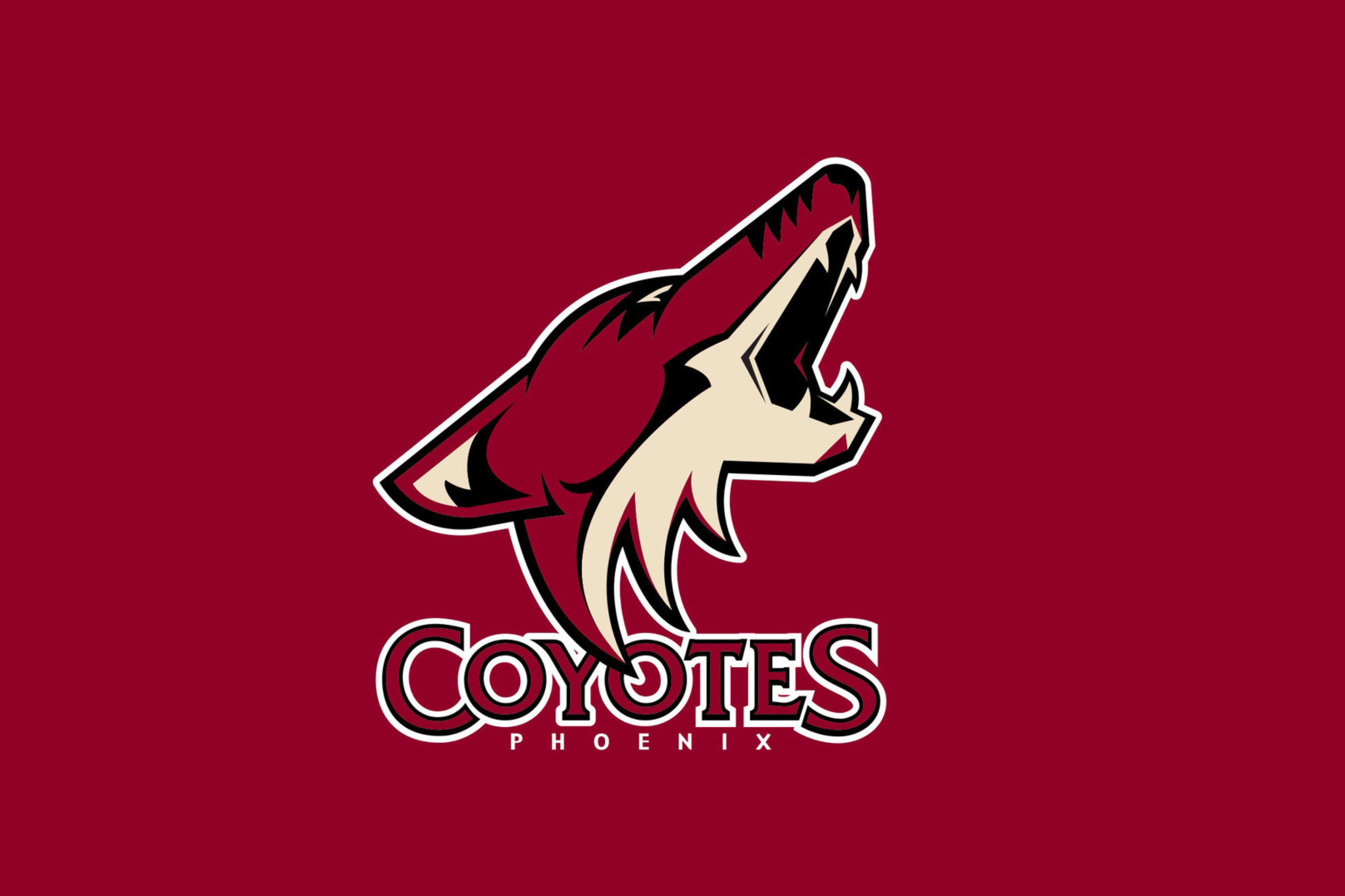 Das Phoenix Coyotes NHL Team Wallpaper 2880x1920