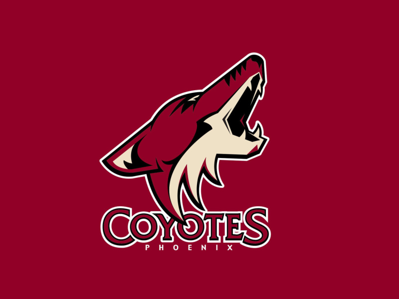 Phoenix Coyotes NHL Team screenshot #1 800x600