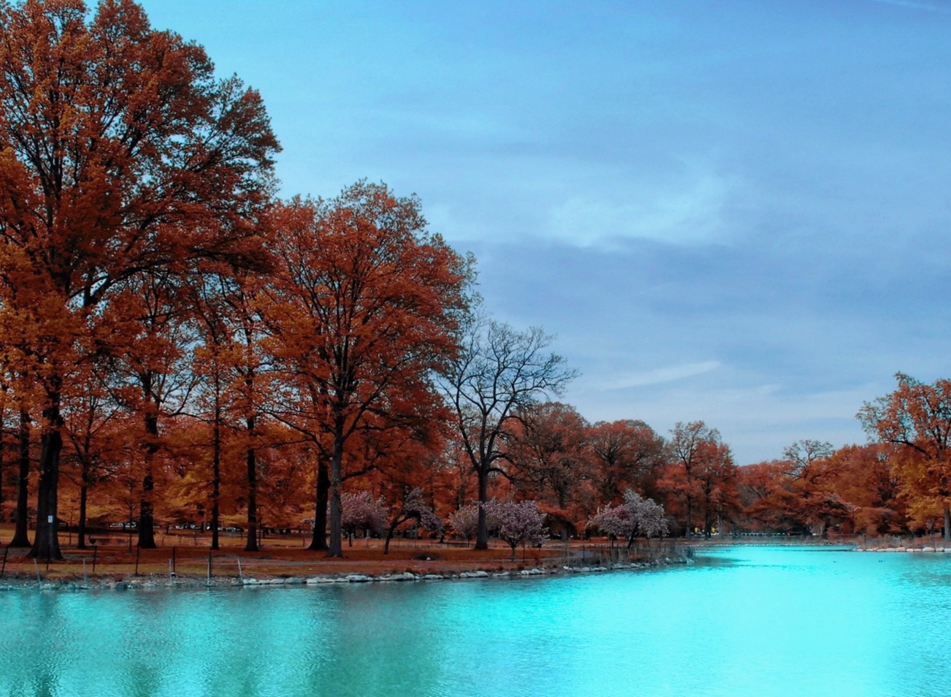 Sfondi Teal Water And Orange Trees 1920x1408