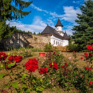 Manastirea Pangarati - Obrázkek zdarma pro iPad 2