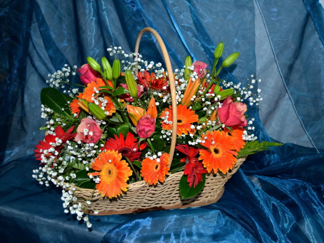 Das Gerbera Bouquet Wallpaper 640x480