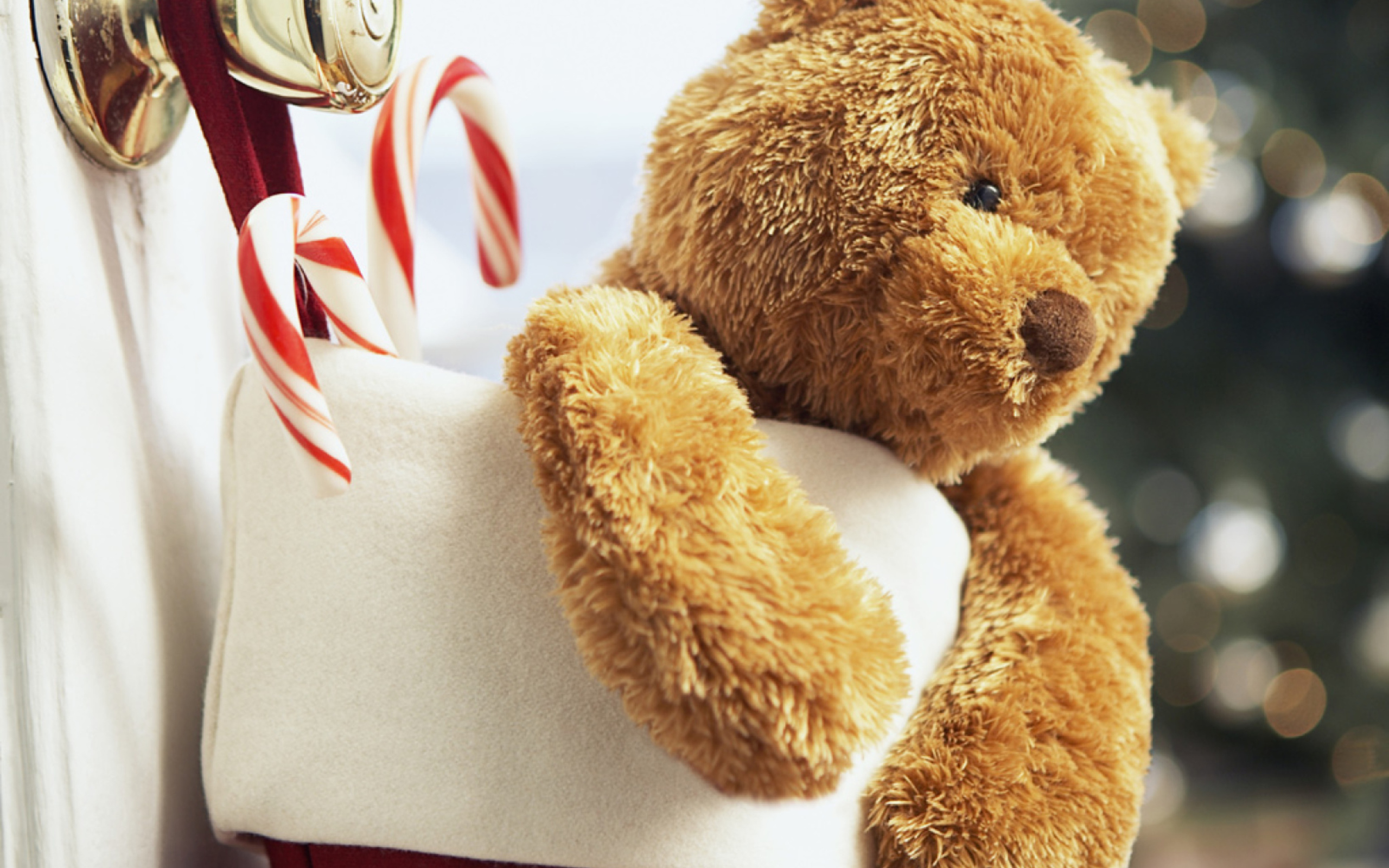 Screenshot №1 pro téma Xmas Bear 2560x1600