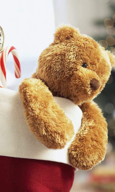 Screenshot №1 pro téma Xmas Bear 480x800