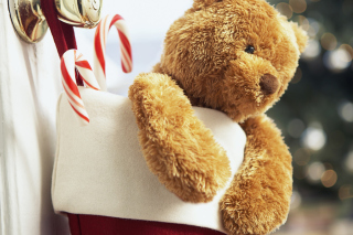 Xmas Bear Picture for Android, iPhone and iPad