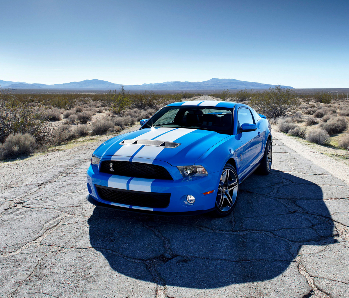 Обои Blue Ford Mustang GT 1200x1024
