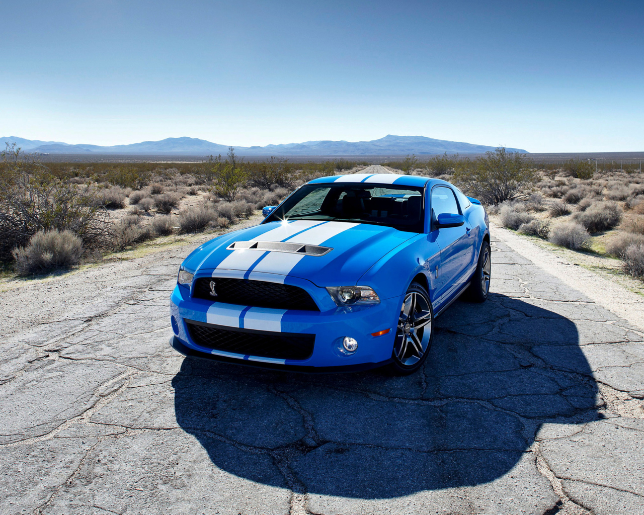Blue Ford Mustang GT wallpaper 1280x1024