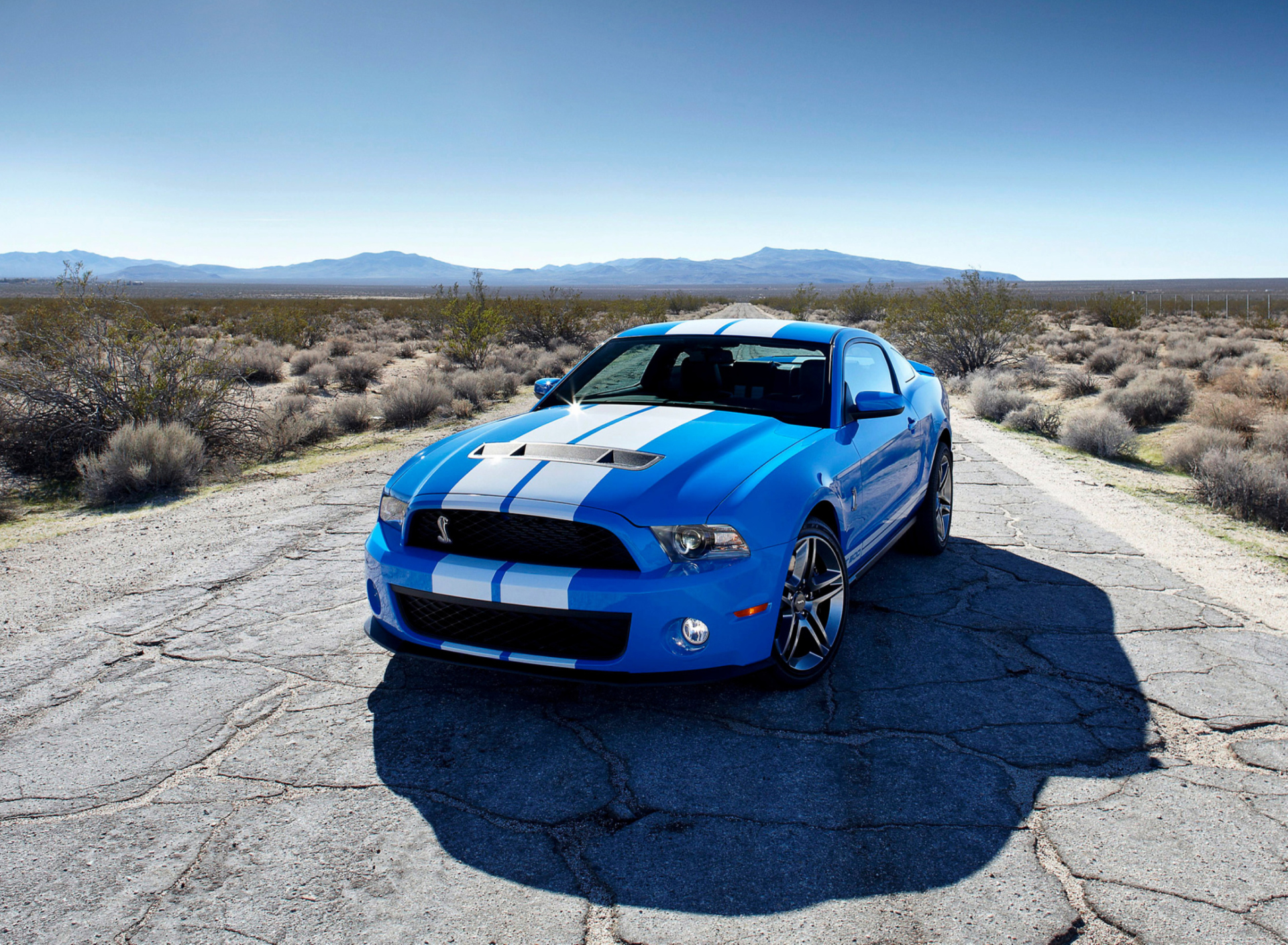 Das Blue Ford Mustang GT Wallpaper 1920x1408