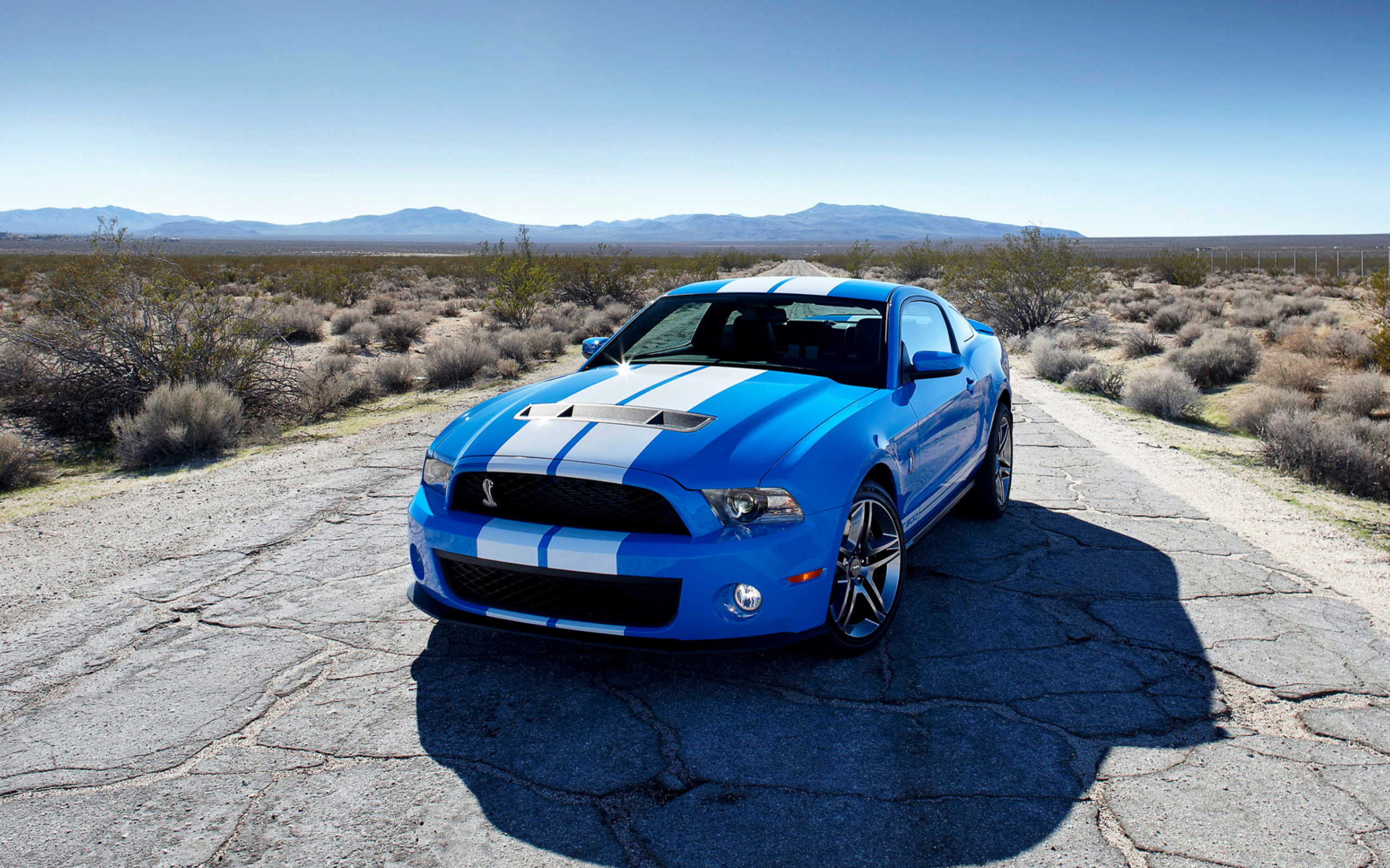 Screenshot №1 pro téma Blue Ford Mustang GT 2560x1600