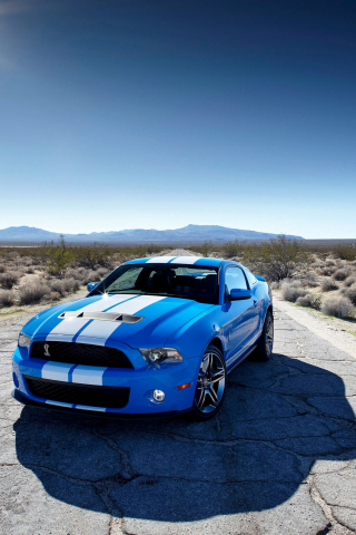 Screenshot №1 pro téma Blue Ford Mustang GT 320x480