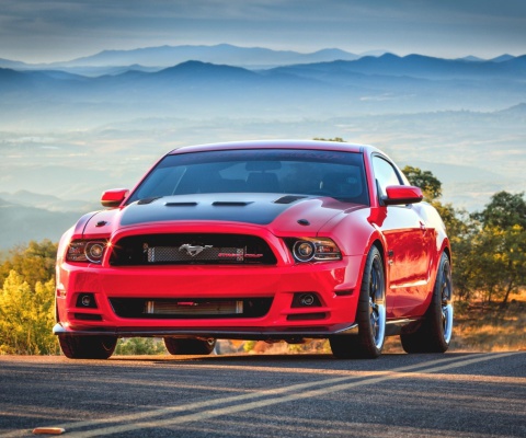 Ford Mustang screenshot #1 480x400