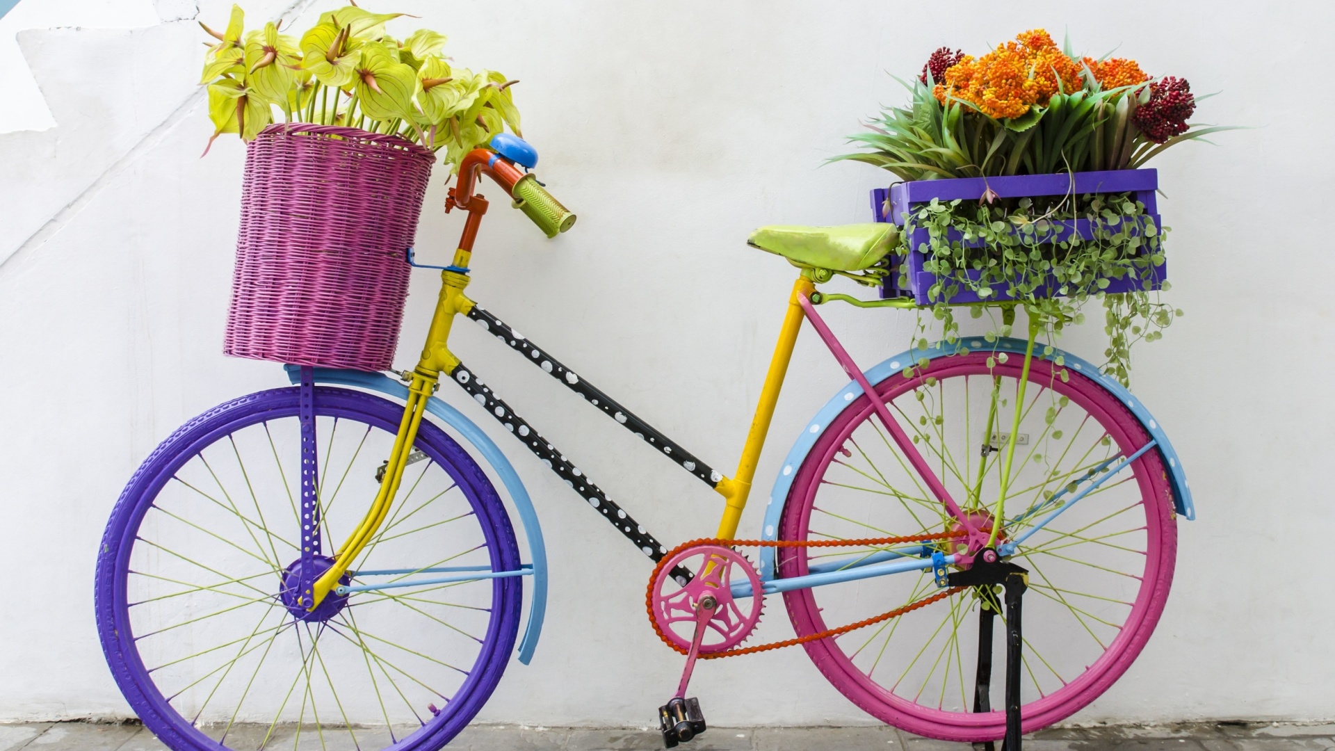 Flowers on Bicycle wallpaper 1920x1080