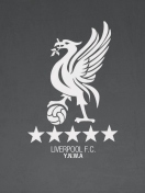 Screenshot №1 pro téma Liverpool Fc Ynwa 132x176