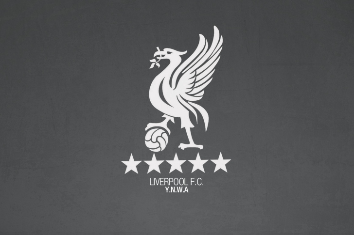 Liverpool Fc Ynwa wallpaper