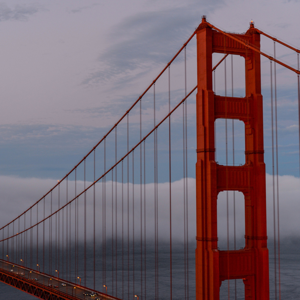 Screenshot №1 pro téma Golden Gate Bridge in Fog 1024x1024