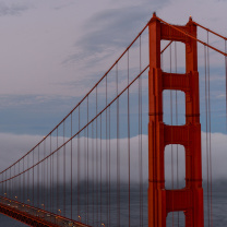 Das Golden Gate Bridge in Fog Wallpaper 208x208