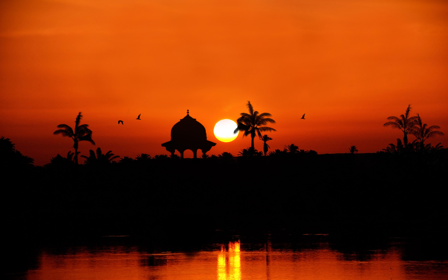 Egypt Nile Sunset wallpaper 1440x900
