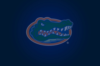 Florida Gators - Obrázkek zdarma pro Android 320x480