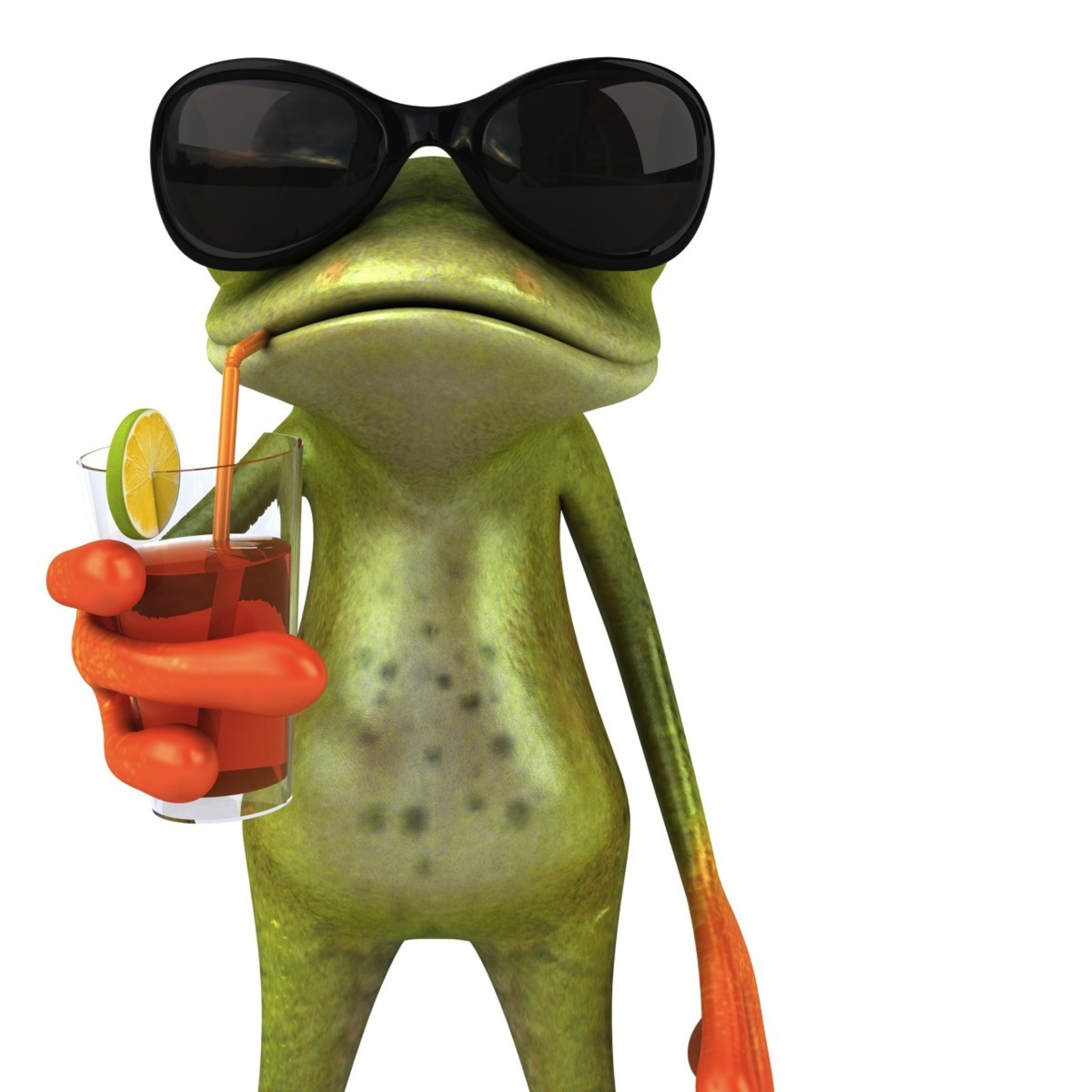 Das 3D Frog Chilling Out Wallpaper 2048x2048